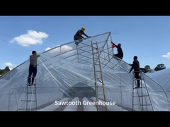 Instalacja folii plastikowej w szklarniach