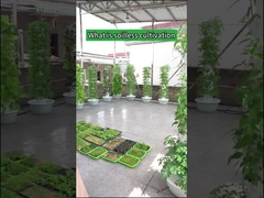 Ogrodowe wieże do uprawy hydroponicznej do uprawy w pomieszczeniach zamkniętych