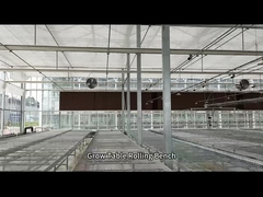 Stół do uprawy szklarni z siatki drucianej Ławka na kółkach do siewu