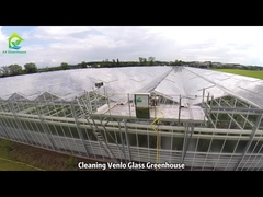 Czyszczenie szklarni Venlo