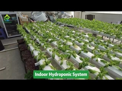 Uprawa pionowa Uprawa bezglebowa Hydroponiczny system rur kwadratowych NFT