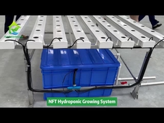 Uprawa pionowa Uprawa bezglebowa Hydroponiczny system rur kwadratowych NFT