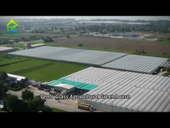 Całkowicie inteligentna szklana szklarnia do uprawy pomidorów i papryczek