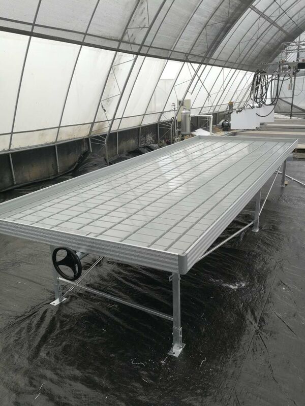 Wartość cieplarnianą Ebb Flow Seeding Rolling Bench Grow Tables For Growing Various Plant Types