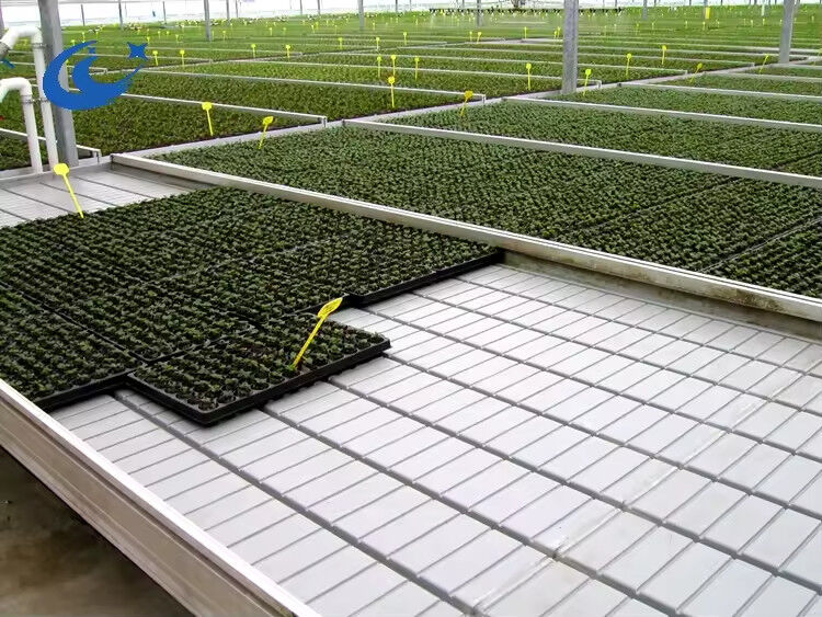 Szklarnie Stoły do uprawy pomidorów System nawadniania