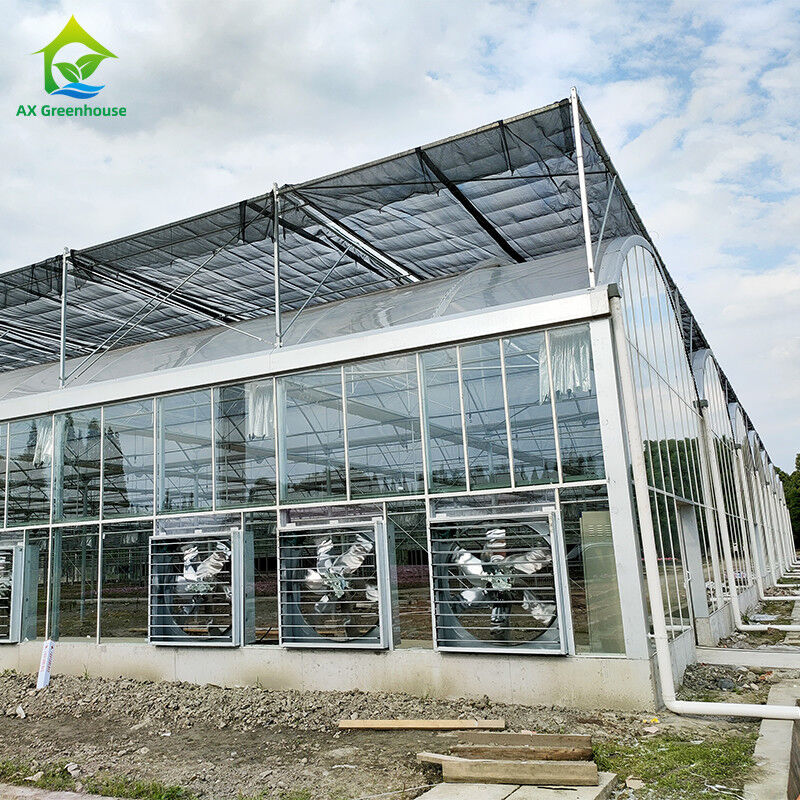 Inteligentny system sterowania Trwałe szklarni dla warzyw 9,6m/10,8m/12m szerokość