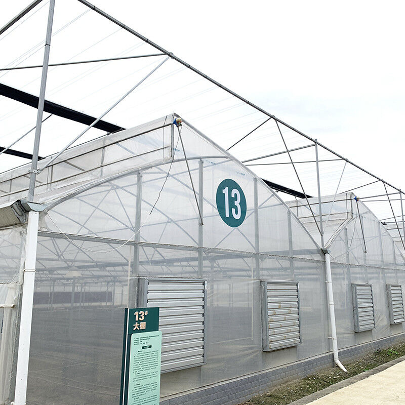 Struktura stalowa Zęby pionowe Polifolia niskotunnelowa Szklarnia rolnicza wielowymiarowa dla zrównoważonej produkcji warzyw