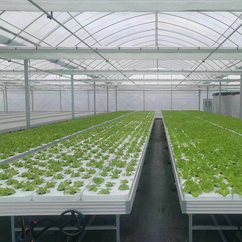 Ogrodnictwo Zindywidualizowany rozmiar Stolik do hodowli w szklarni Hydroponic Ebb Flood Rolling Bench