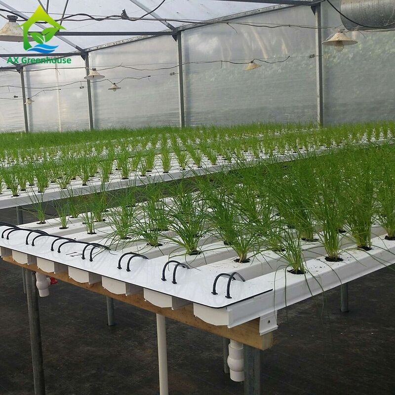 China Factory Super Farm Hydroponic NFT Growing System NFT PVC Channel Horizontal NFT Soilless Leafy VegetableCultivation System