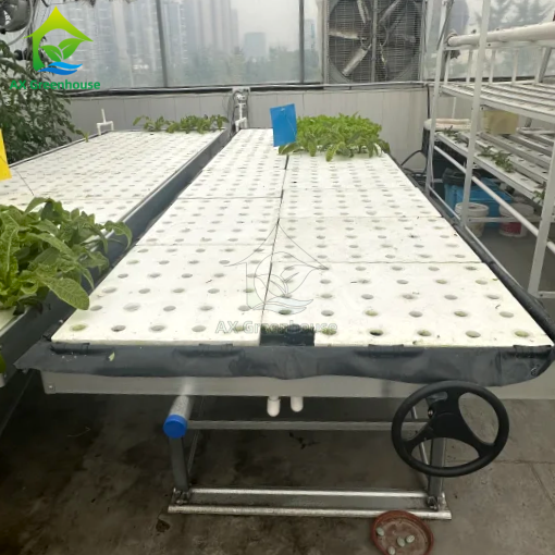 Ebb&Flow Rolling Bench Floating Board DWC Kultura głębinowa Szklarnia Uprawa warzyw bezglebnych
