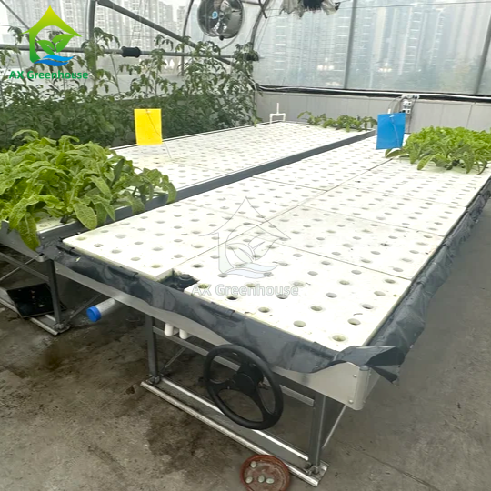 Ebb&Flow Rolling Bench Floating Board DWC Kultura głębinowa Szklarnia Uprawa warzyw bezglebnych