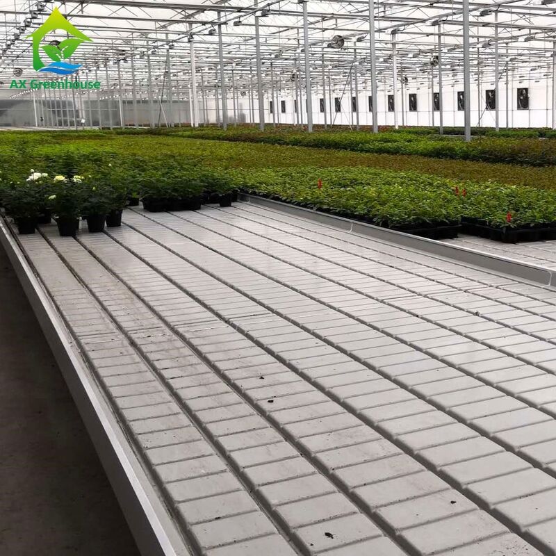 Komercyjny aluminiowy stelaż do uprawy w systemie Ebb & Flow z regulowaną wysokością i zintegrowaną tacą PP/ABS do szklarni