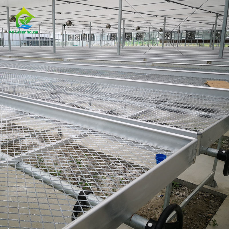 Rolnictwo Handlowe Wewnętrzne Mesh Wire Szklarnia Grow Table Rolling Bench Do siewu